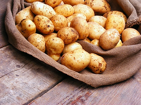 С 2014 по 2018 год импорт картофеля в Россию снизился на 11 %