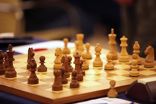 В шахматном турнире поучаствуют юные гроссмейстеры из Митина
