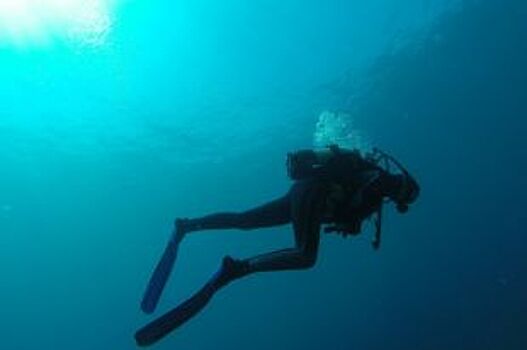 На Бали пятый день ищут пропавшего дайвера из Петербурга