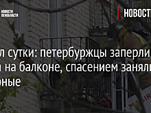 Скулил сутки: петербуржцы заперли щенка на балконе, спасением занялись пожарные