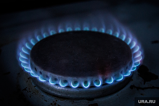 Депутат Госдумы объяснил, почему Россия не перекроет газ Европе