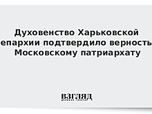 Митрополит Иларион: официальной позиции Афона по Украине пока не было