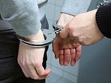 Россия будет обмениваться заключёнными с Арабскими Эмиратами и Намибией