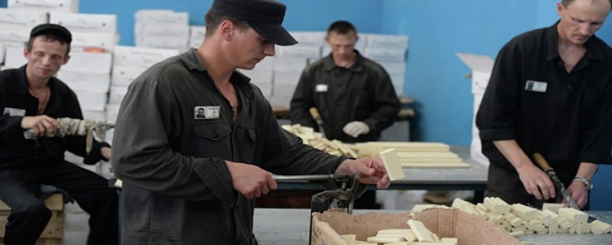 В Свердловской области задумались над восполнением кадрового дефицита за счет привлечения к труду осужденных