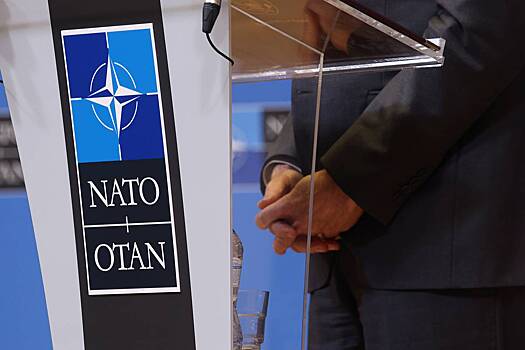 Бывший советник Бориса Джонсона обвинил НАТО в провокации конфликта на Украине