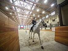 В Наро-Фоминске возвели спортивный комплекс для лошадей