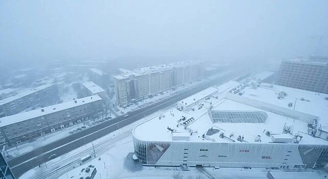 Аномальные морозы в Новосибирске: термометры опустились ниже -40 градусов