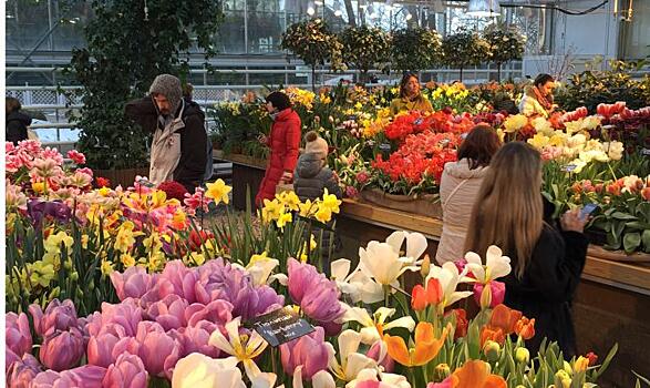Почти 2 тыс. точек продажи цветов будет действовать в преддверии 8 Марта