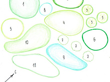 Готовая схема роскошного белого цветника. Повторить проще простого!