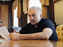 Аксенов призвал ужесточить федеральные законы России в отношении мигрантов