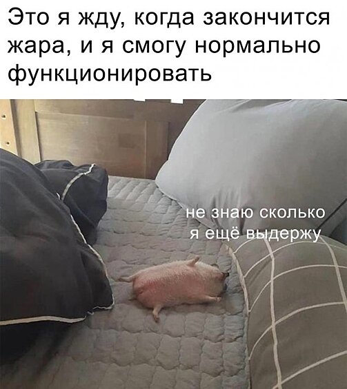 Жара жарой, а рабочие понедельники, к сожалению, никто не отменял.