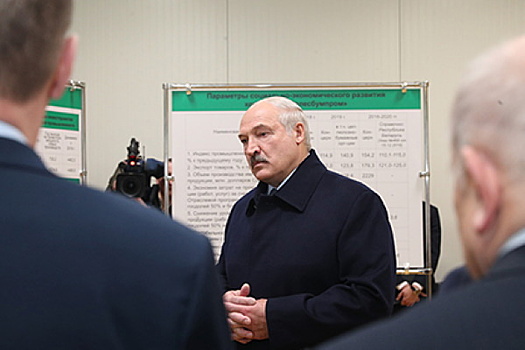 Лукашенко: нас раком поставили по углеводородам