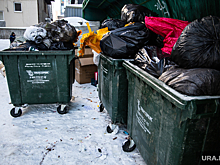 Генпрокуратура наказала виновных в мусорном коллапсе трех челябинских городов