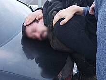 Под Москвой задержали подделывавшую документы нелегальным мигрантам преступную группу