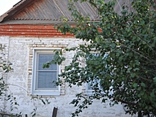 Волгоградским дачникам разъяснили новые ограничения на коммерческую деятельность