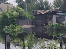 Хабаровские дачники просят по 15 тысяч рублей за утонувший урожай