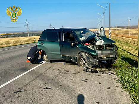 Два ребенка погибли в ДТП из-за уснувшей за рулем матери в Ростовской области