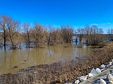 Уровень воды в реке Ишим в Тюменской области превысил отметку в 1,2 метра