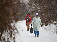 Слякотно и снежно: Новосибирск засыплет снегом при температуре +3 градуса