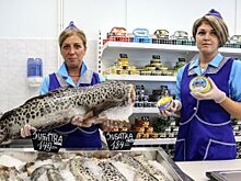 Рыбопромысловикам возместят до трети от стоимости новых судов