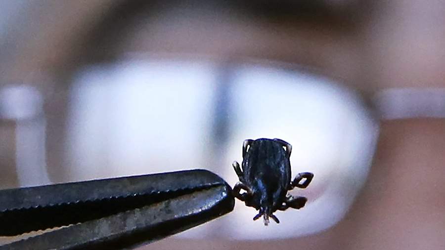 В Роспотребнадзоре разработали тест для выявления вируса Хасеки