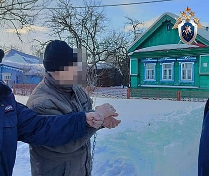 Нижегородца посадили на 8 лет за зверское убийство гостя