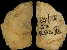 Обнаружены древнейшие из известных отравленных стрел