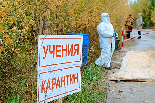 Учения по борьбе с ящуром пройдут в Воткинском районе