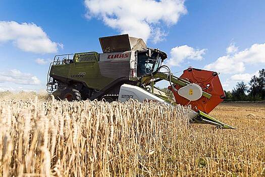 В России оценили урожай зерна