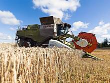 В России оценили урожай зерна