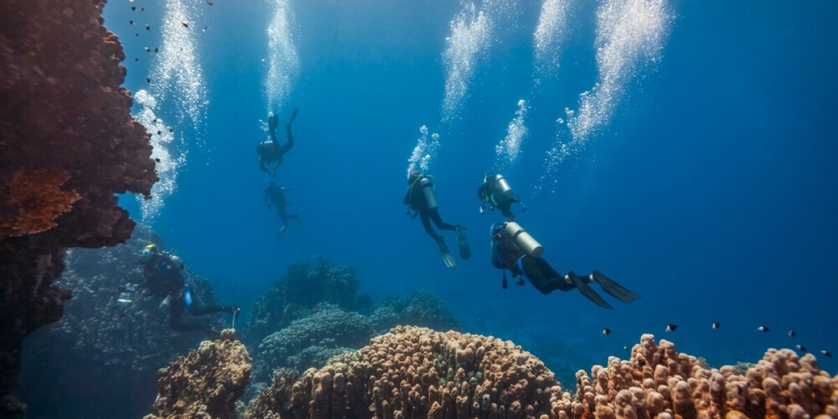Секрет древнейшего в мире компьютера раскрыли ученые