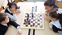 Васильева: занятия шахматами в школе должны быть бесплатными