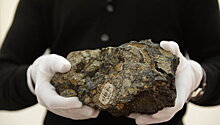 Обвиняемый в краже фрагмента челябинского метеорита отрицает свою вину