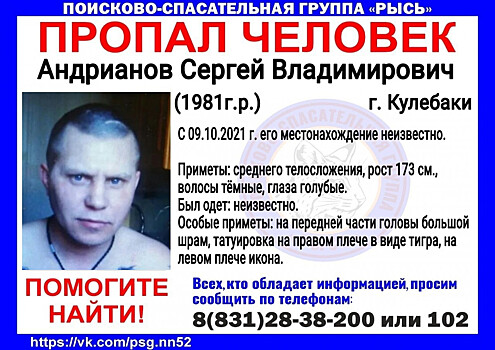 40-летний Сергей Андрианов пропал в Кулебаках