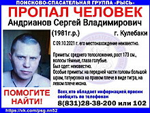 40-летний Сергей Андрианов пропал в Кулебаках