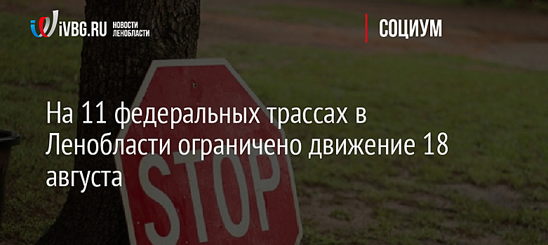 На 11 федеральных трассах в Ленобласти ограничено движение 18 августа