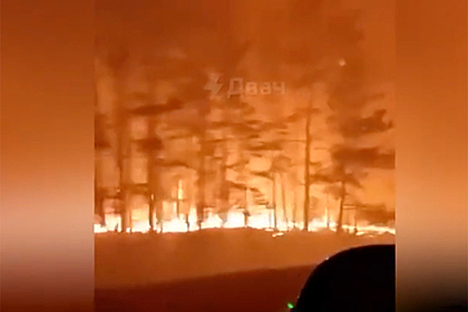 Мощный пожар вдоль российской трассы сняли на видео