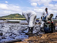 Жители Маврикия массово состригают волосы, создавая ловушку для нефти