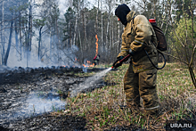 Центр охраны дикой природы раскритиковал систему тушения лесных пожаров
