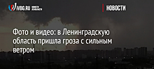 Фото и видео: в Ленинградскую область пришла гроза с сильным ветром