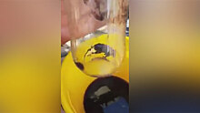 Мужчина обнаружил дохлую мышь в запечатанной газировке: видео