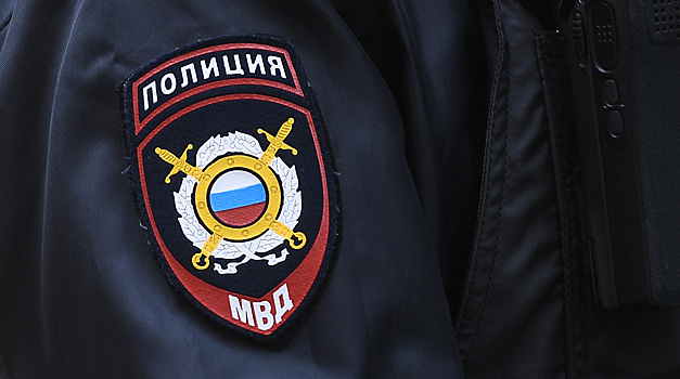 Полиция расследует драку в вагоне московского метро