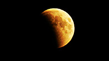 Видео и 12 фото затмения Луны, которое можно было увидеть в Воронеже