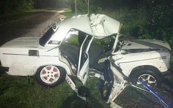 В Сараевском районе водитель погиб, врезавшись в столб