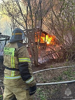 В Суне из-за неосторожного обращения с огнём произошёл пожар