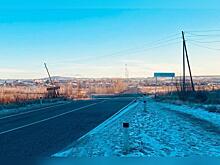 Лошадь сбили на трассе в Забайкалье