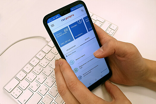 В России началась разработка портала «Госуслуги молодым»