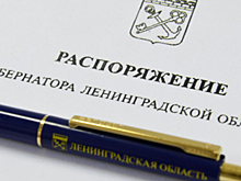 Комитет цифрового развития Ленобласти возглавил Денис Золков