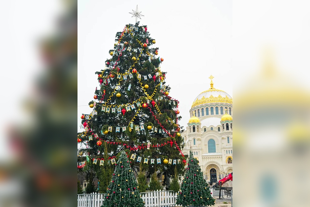 Минстрой назвал самые красивые новогодние елки