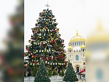 Минстрой назвал самые красивые новогодние елки